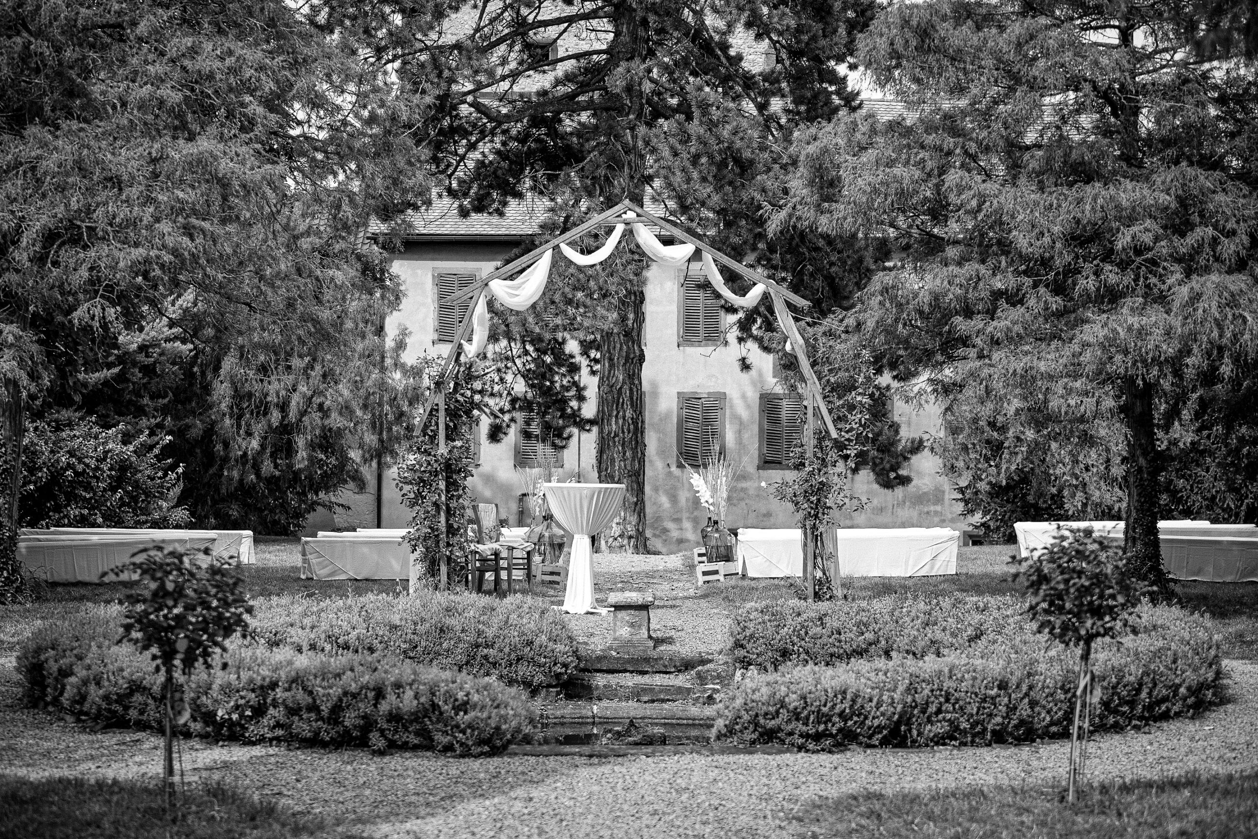 Profess your love under the rose arch.